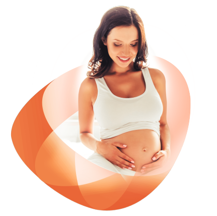 Inseminação Artificial