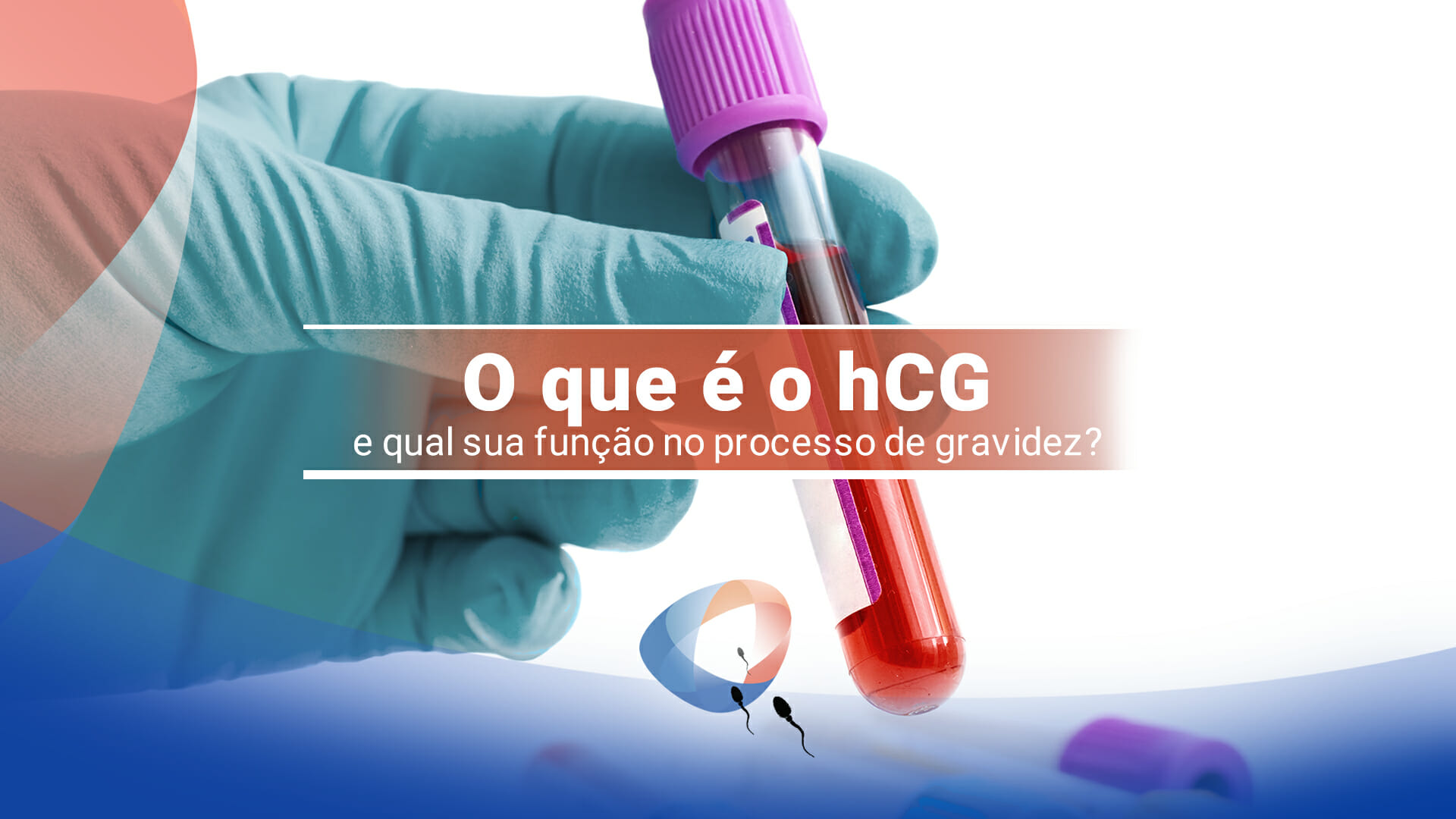 O que é o hCG e qual sua função no processo de gravidez?
