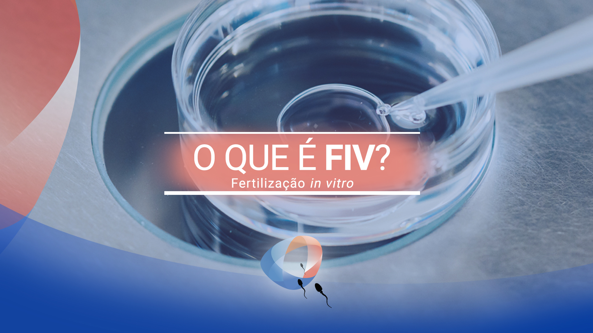 O que é FIV?