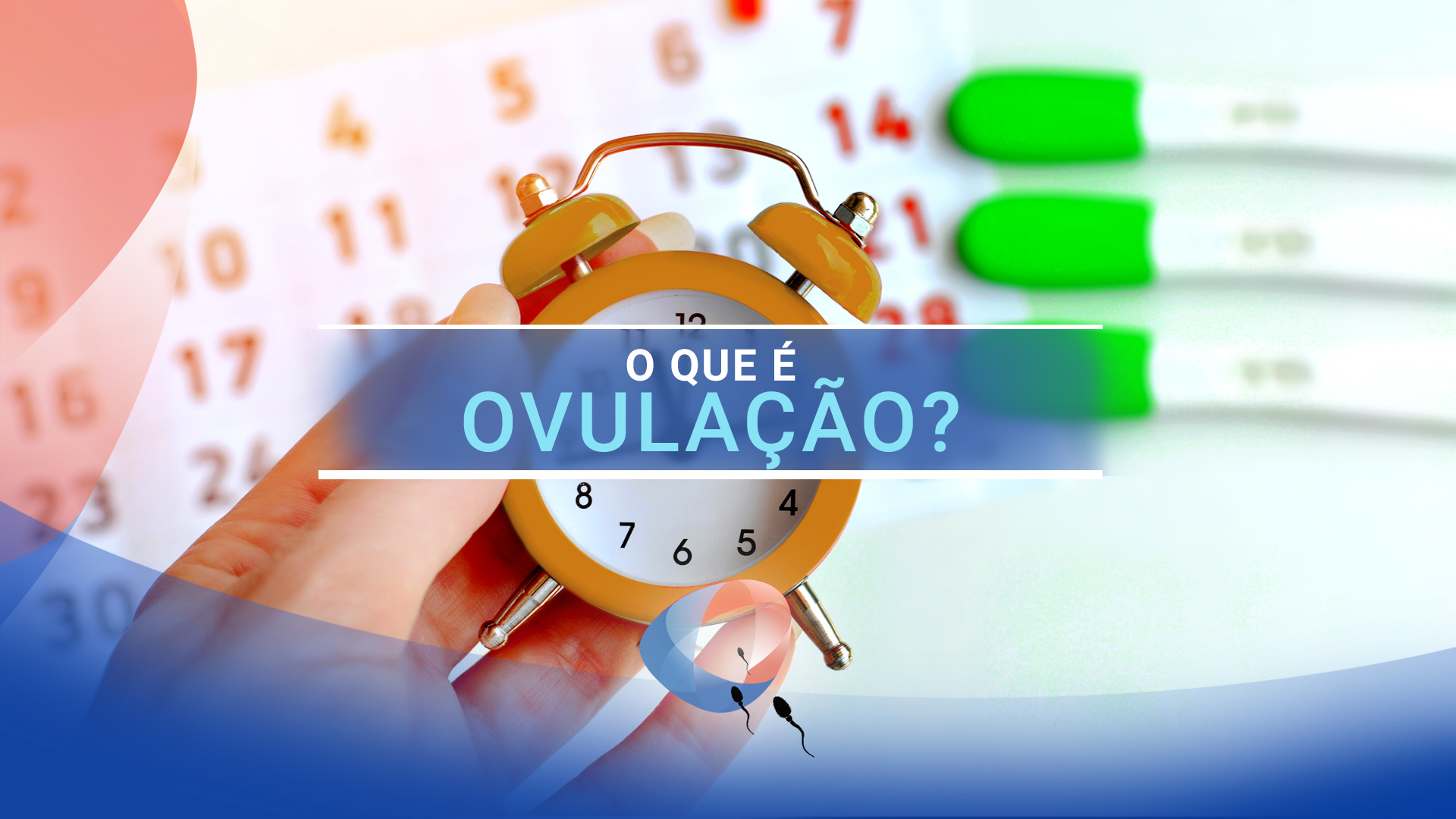 O que é ovulação?