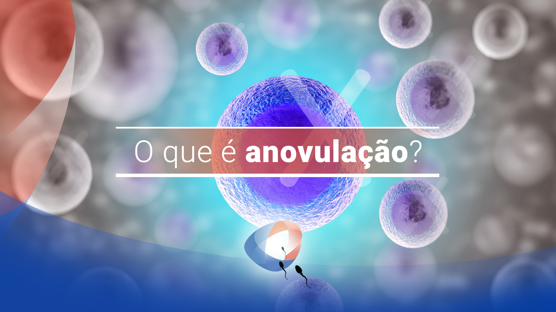 O que é anovulação?