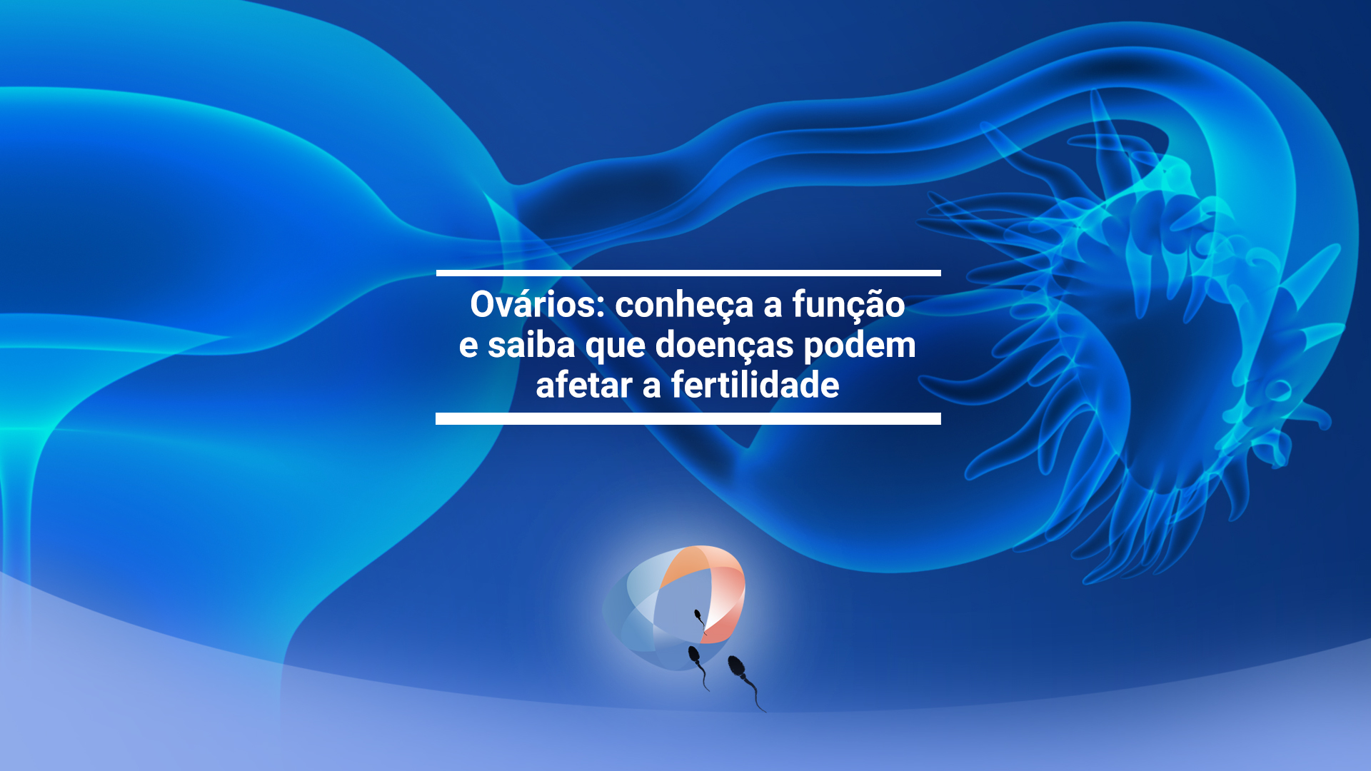 Ovários: conheça a função e saiba que doenças podem afetar a fertilidade