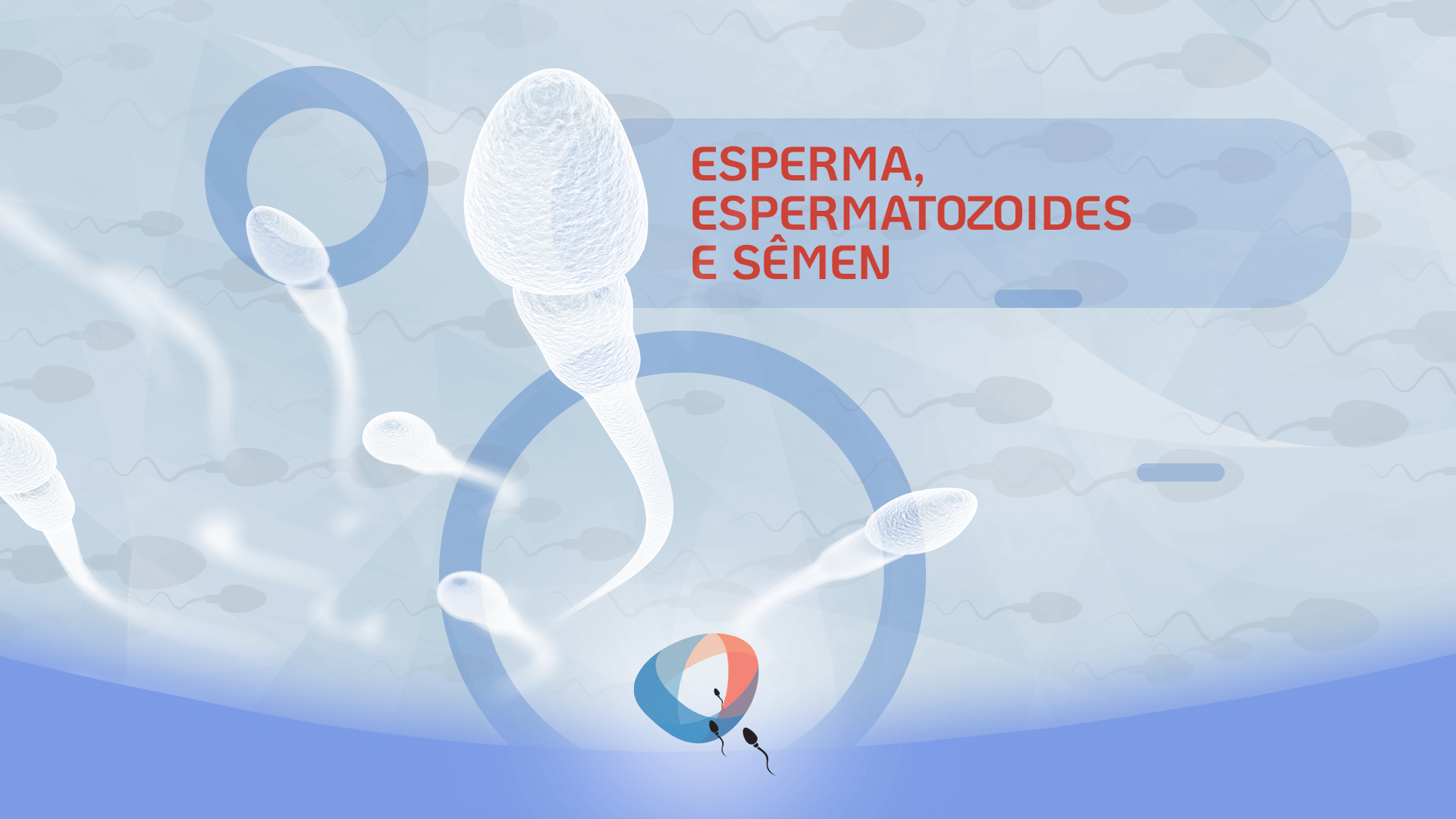 Esperma, espermatozoides e sêmen