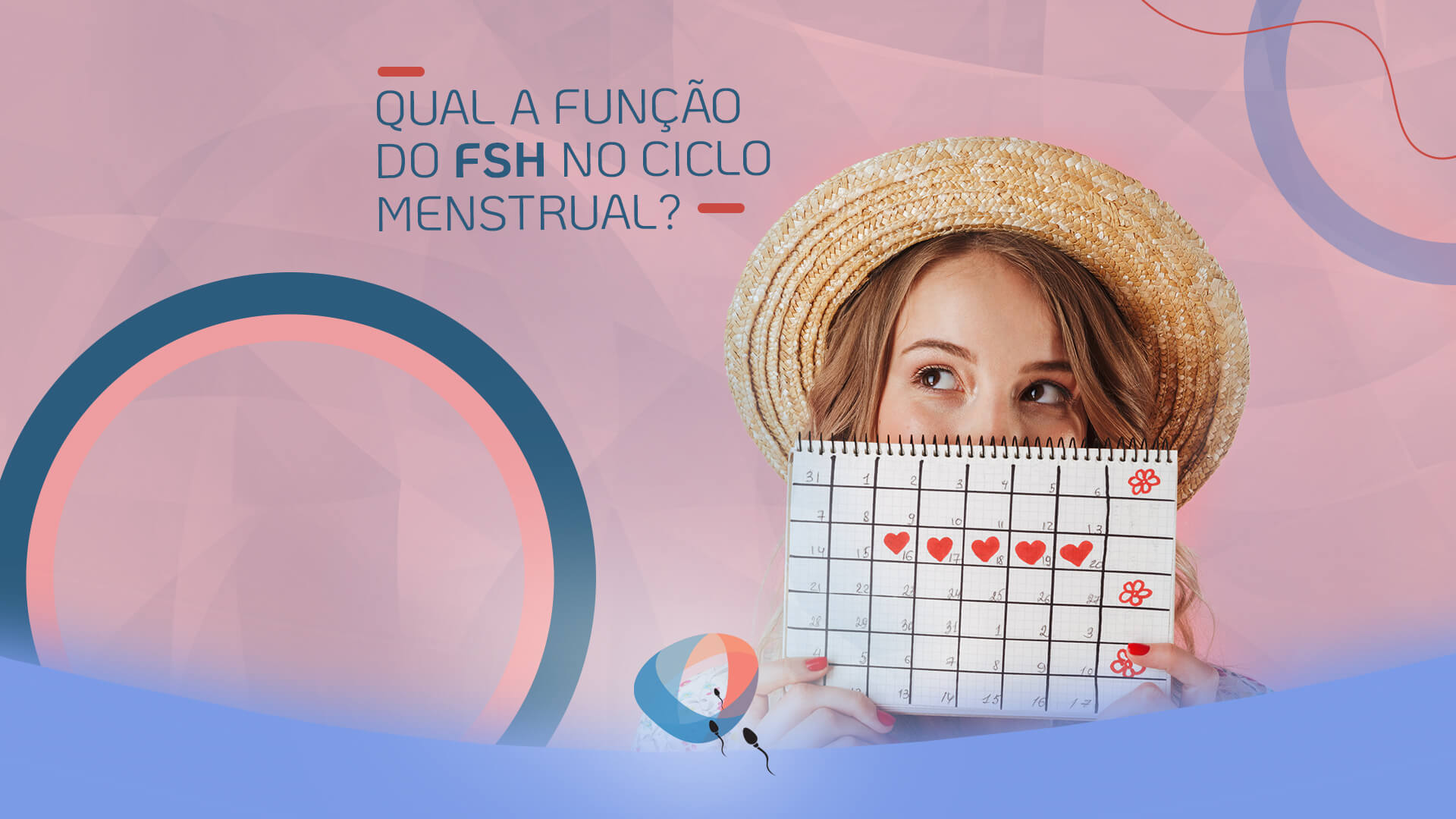 Qual a função do FSH no ciclo menstrual?