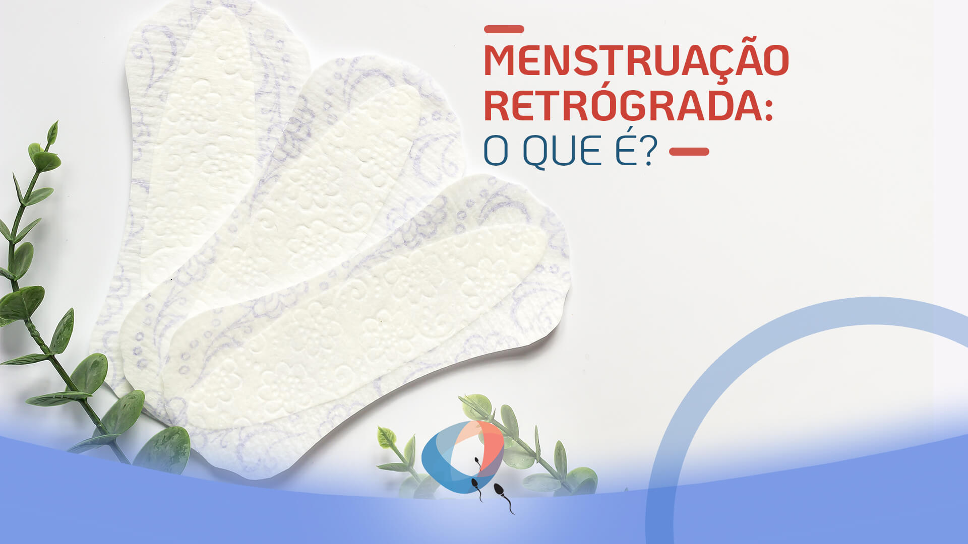 Menstruação retrógrada: o que é?