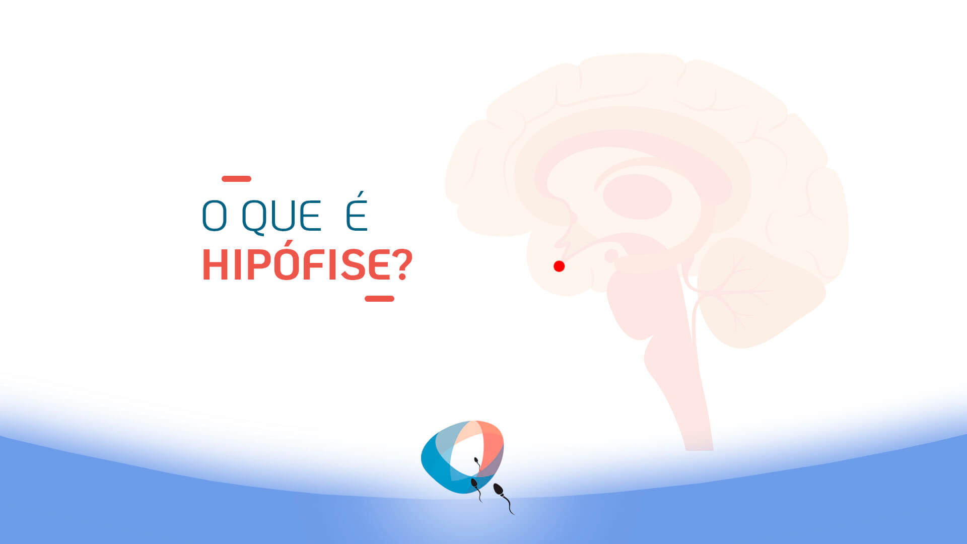 O que é hipófise?
